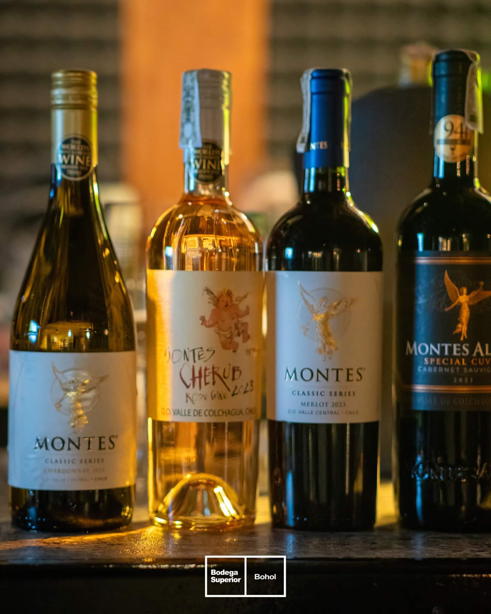 Montes Wines flight at the bodega — Chardonnay, Cherub, Merlot, Alpha Cabernet